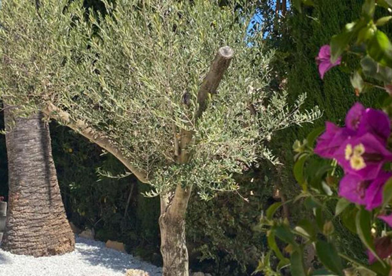 Holiday Villa Moraira Exterior foto